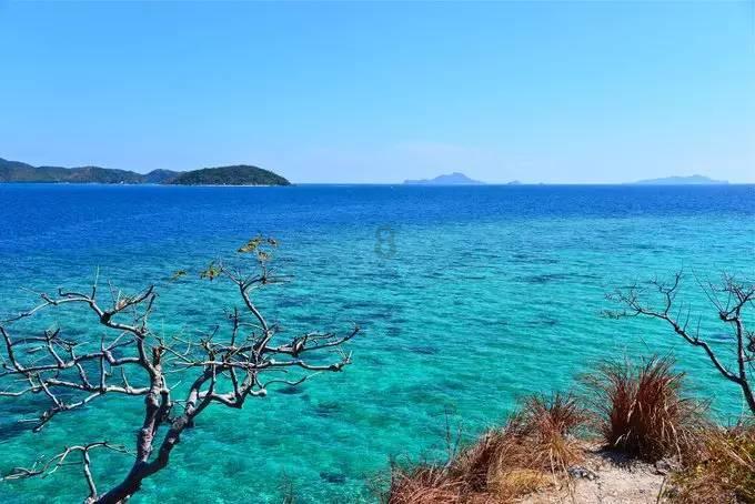 幽浮飞碟